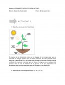 Proceso de la fotosíntesis. Ciclos Biogeoquímicos