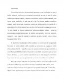 El desarrollo de la plasticidad cerebral