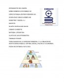 RASGOS DE LA SOCIEDAD VIRREINAL Y LA CREACION DE INSTITUCIONES PARA EL CONTROL SOCIAL, POLITICA Y ECONOMICO.