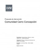 Síntesis del Diagnóstico Comunitario. Identifique al sujeto y objeto de la intervención