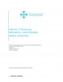 Informe: Práctica de laboratorio, carbohidratos, lípidos, proteínas