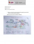 Inyección Electrónica Gasolina