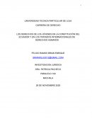 LOS DERECHOS DE LOS JÓVENES EN LA CONSTITUCIÓN DEL ECUADOR Y EN LOS TRATADOS INTERNACIONALES DE DERECHOS HUMANOS