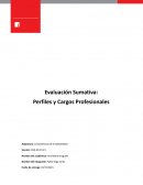 Perfiles de cargos. Competencias de Empleabilidad