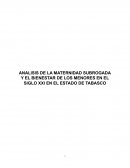 ANALISIS DE LA MATERNIDAD SUBROGADA Y EL BIENESTAR DE LOS MENORES EN EL SIGLO XXI EN EL ESTADO DE TABASCO
