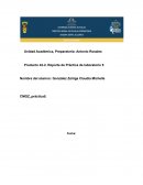 Reporte de Práctica de laboratorio 5