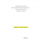 ESTRUCTURA DE UN TRABAJO COMUNITARIO