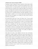 Análisis de la obra: Especies de Espacios, PEREC