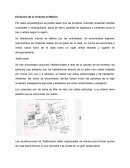 Evolucion de la vivienda en Mexico