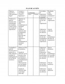 Plan de accion