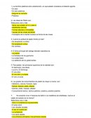 Multiple choice filosofía