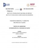PRÁCTICA DE LABORATORIO. DETERMINACIÓN DE LA VISCOSIDAD DE FLUIDOS
