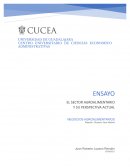 EL SECTOR AGROALIMENTARIO Y SU PERSPECTIVA ACTUAL