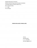 Verbos regulares e irregulares en ingles