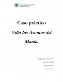 Caso práctico Viña los Aromos del Maule