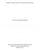 INFORME ANÁLISIS DEL SECTOR Y ENTIDADES MICROFINANCIERAS