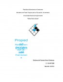 Propiedad Intelectual Aduanera