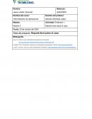 Reporte final sobre el caso