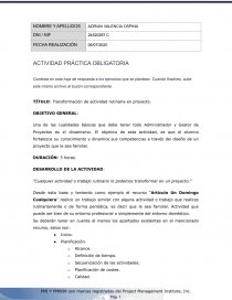 Transformación de actividad rutinaria en proyecto. Página 1