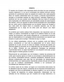 El cerebro