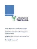 Importancia del Comportamiento organizacional y los procesos interpersonales en las organizaciones