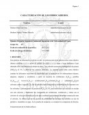 CARACTERIZACIÓN DE LOS HIDROCARBUROS