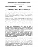 MEDIO AMBIENTE: UN PROBLEMA CON MEDIO-SOLUCIONES