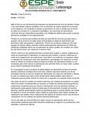 APLICACIONES BASADAS EN EL CONOCIMIENTO. IBM CPLEX