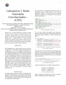 Laboratorios 3: Redes Neuronales Convolucionales – (CNN)