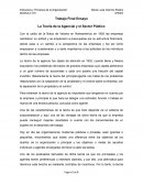 La Teoría de la Agencial y el Sector Público