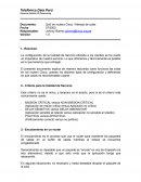 Gerencia Gestión VIP Outsourcing