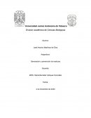 Residuos de servicios de transporte