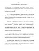 Elementos fundamentales de redacción de reportes
