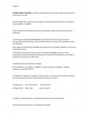 TIEMPOS Y PRODUCCION