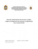 Resumen: Determinación de las áreas a auditar, riesgos y contingencias mas comunes, la organización de un control de Red