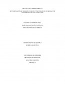 Informe de laboratorio gravimetria