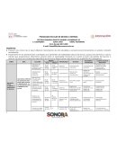 PROGRAMA ESCOLAR DE MEJORA CONTINUA