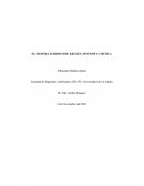 EL SISTEMA JURIDICO DE KELSEN, SINTESIS Y CRITICA