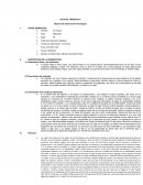 Reporte de Observación Psicológica