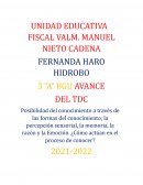 Ensayo de las formas de conocimiento