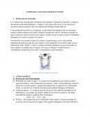 Hidrógeno como almacenamiento de energía