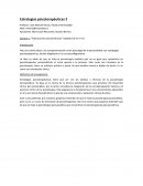 Estrategias psicoterapeuticas 2