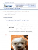 Práctica: “Producción de tipos de textos”