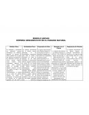 MODELO CANVAS EMPRESA DESCONECTATE EN EL PARAISO NATURAL