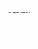 Caso Financiero Triconsult S.A.