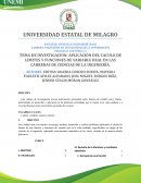 APLICACIÓN DEL CACULO DE LIMITES Y FUNCIONES DE VARIABLE REAL EN LAS CARRERAS DE CIENCIAS DE LA INGENIERÍA