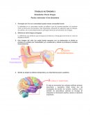 Discapacidad Auditiva