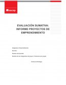 Evaluación sumativa :Informe proyectos de emprendimiento