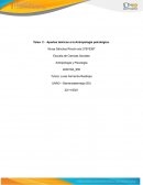 Aportes Teóricos de la Antropología