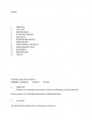 Procedimiento Normalizado de Operación